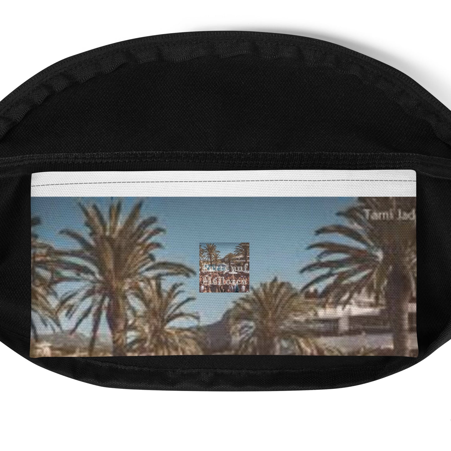 Fanny Pack